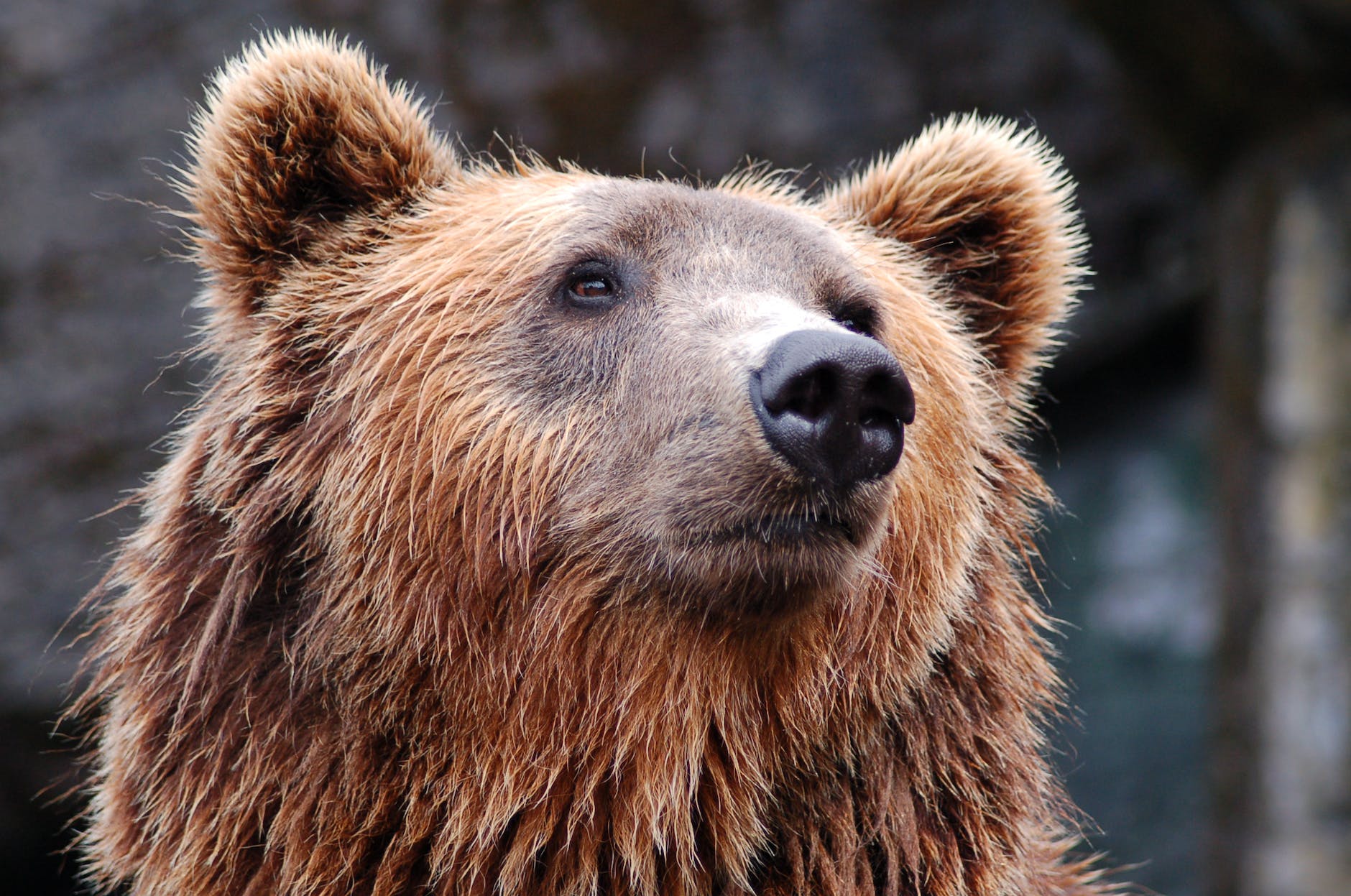 The secrets of “Goldilocks marketing?”