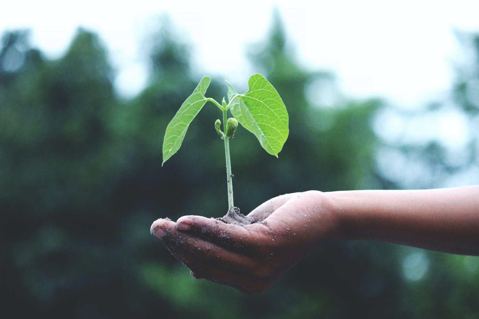 The power of ‘growth mindset’ in copywriting careers